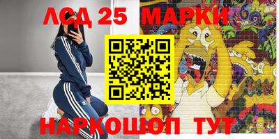 дмт Сланцы
