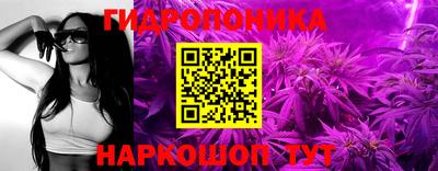 дмт Сланцы