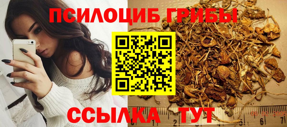 Ногинск  Псилоцибиновые грибы прущие грибы  Вход с VPN 